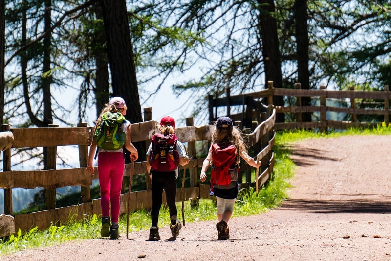 Mountain Hiking Trail